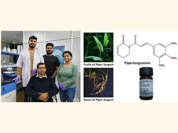 NIT Rourkela Research and Innovations on NIT Rourkela Discovers Long Pepper Compound for Colon Cancer Treatment